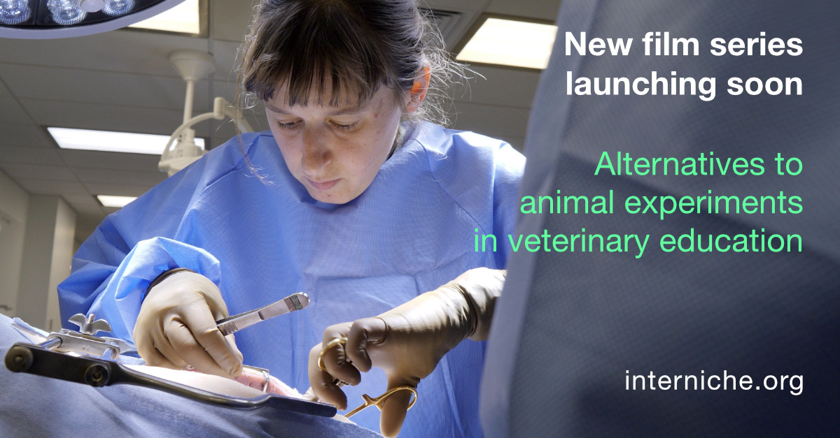 New film series launching soon - Alternatives to animal experiments in veterinary education