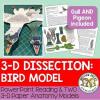 Bird 3-D Dissection Model