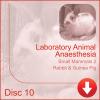 Laboratory Animal Anaesthesia - Rabbit & Guinea Pig