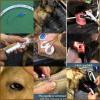 Laboratory Animal Anaesthesia - Cat & Dog