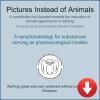 Pictures Instead of Animals