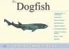 Vertebrate Dissection Guide - Dogfish