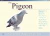 Vertebrate Dissection Guide - Pigeon