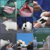 Companion Animal Anaesthesia & Surgery Vol.1 - Rabbit