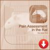 Pain Assessment in the Rat