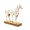 Acupuncture Model Horse