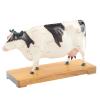 Acupuncture Model Cow