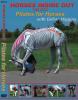 Horses Inside Out - Pilates for Horses