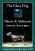 The Glass Dog: Thorax and Abdomen