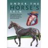 Under the Horses Skin
