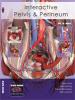 Interactive Pelvis and Perineum