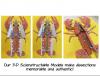 Crayfish 3-D Dissection Model