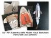 Shark 3-D Dissection Model