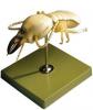 Termite Model