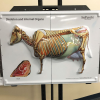 Cow Anatomy 3D Flip Chart