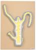 Hydra Dissection Model on base; Enlarged; 13 inches 