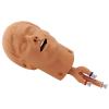 Replacement Intubation Head