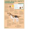 Canine Health & Safety: First Aid for Your Dog Poster