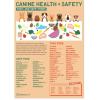Canine Health & Safety: Toxic and Safe Foods Poster
