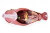 Canine Abdominal Surgical Model