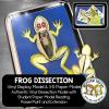 Frog Vinyl Dissection - Scienstructable 3D Dissection Model