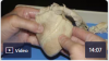 Sheep Heart Dissection Video (Part 2 of 2)
